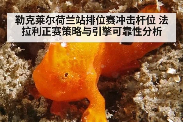 勒克莱尔荷兰站排位赛冲击杆位 法拉利正赛策略与引擎可靠性分析